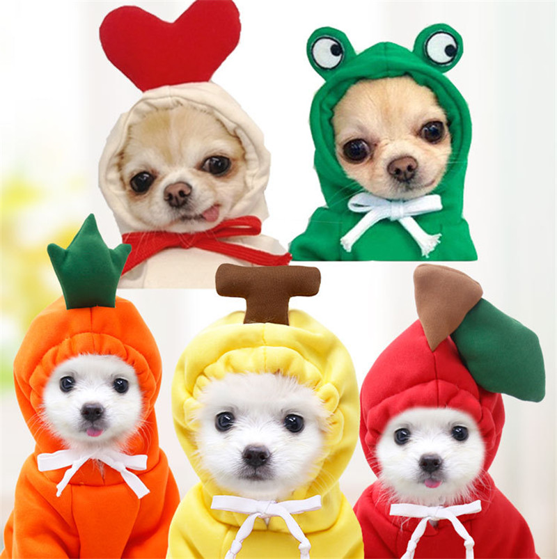 Sevimli Meyve Köpek Giysileri  - Winter Clothing Pictures incelemesi ve fiyatı