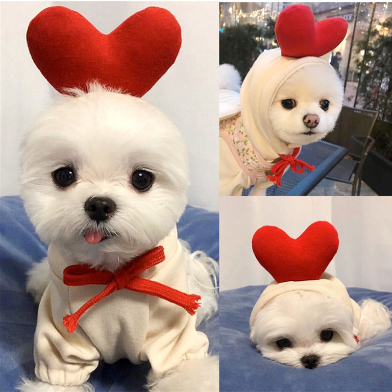 Sevimli Meyve Köpek Giysileri  - Winter Clothing Pictures incelemesi ve fiyatı